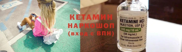 индика Верхний Тагил