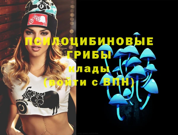 индика Верхний Тагил